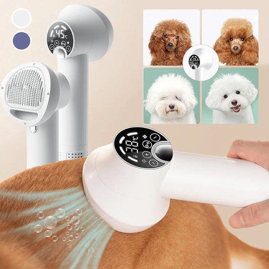 🎁Free Shipping🔥Low Noise Pet Hair Dryer with Slicker Brush