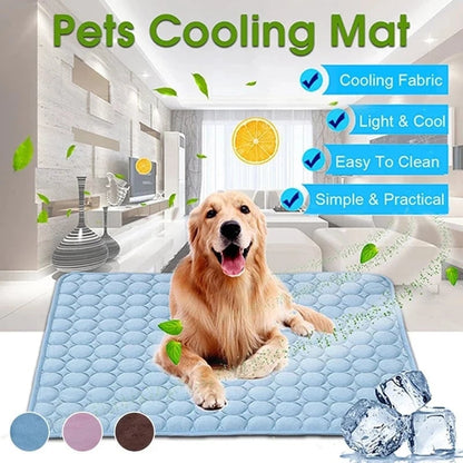 ❄️ Zomerfresh – 50% ZNIŻKI! 🐶 CoolPaws™ Samochłodząca mata dla zwierząt domowych – zapobiega przegrzaniu, zwiększa komfort i pozostaje chłodna przez wiele godzin