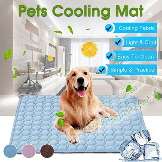 ❄️ Zomerfresh – 50% ZNIŻKI! 🐶 CoolPaws™ Samochłodząca mata dla zwierząt domowych – zapobiega przegrzaniu, zwiększa komfort i pozostaje chłodna przez wiele godzin