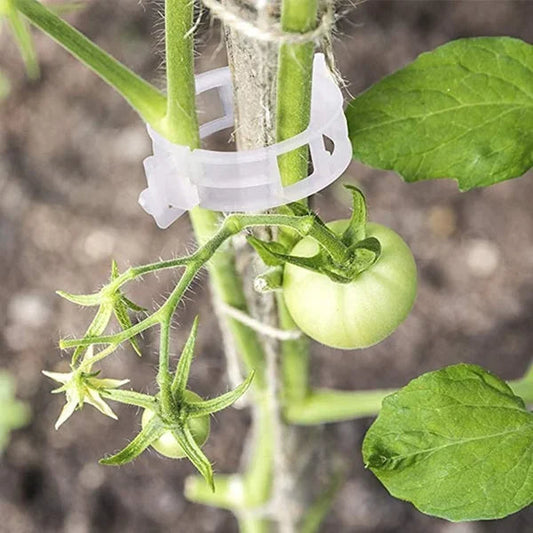 ⏳ Ograniczony czas – 50% RABATU! 💥 Bezpieczny plastikowy klips do roślin 🌱✨