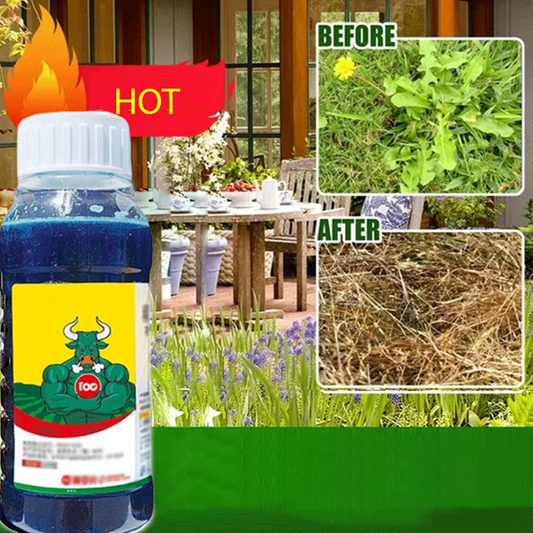 Skoncentrowany, silny środek chwastobójczy 🌿💥