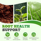 Bacterias Compost Ecológicas de Alta Concentración