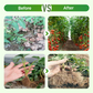 Bacterias Compost Ecológicas de Alta Concentración
