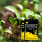Bacterias Compost Ecológicas de Alta Concentración