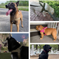 🔥OSTATNI DZIEŃ WYPRZEDAŻY!! Wzmocniona, taktyczna szelka dla psa z uchwytem 🐕