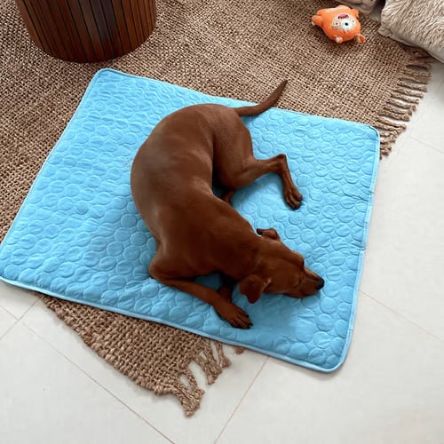 ❄️🐾Mata chłodząca dla zwierząt (4-krotnie silniejszy efekt chłodzenia)🐶 Niezbędnik na lato dla każdego właściciela zwierzęcia
