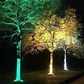 🌳 Pierścieniowa lampa do drzew IP65 – 50% ZNIŻKI! OFERTA LIMITOWANA!✨Wodoodporna, energooszczędna i łatwa w montażu – idealna do ogrodu, parku i na taras.🌿Podkreśla urok drzew, tworząc magiczny klimat w nocy.🌙