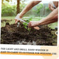 🌿 Narzędzie do usuwania chwastów – 50% ZNIŻKI! 30K+ SPRZEDANYCH! OFERTA LIMITOWANA!🔧💪Do wykopywania chwastów, spulchniania i przesadzania – idealne do ogrodu, trawnika i rabat. Trwałe, wygodne i skuteczne.🧑‍🌾