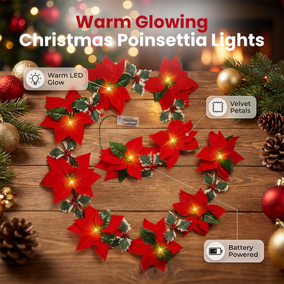 🏆 −50% TYLKO PRZEZ OGRANICZONY CZAS! 🎄 Świąteczne lampki łańcuchowe – wprowadź magiczny nastrój! 🌺✨