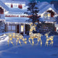 🎄🦌 Zestaw świątecznych reniferów LED z kokardą – dekoracyjna rodzina reniferów do wnętrz i na zewnątrz ✨Darmowa dostawa 🚚