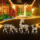 🎄🦌 Zestaw świątecznych reniferów LED z kokardą – dekoracyjna rodzina reniferów do wnętrz i na zewnątrz ✨Darmowa dostawa 🚚