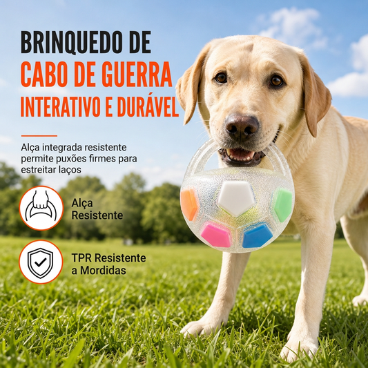 ⏳🔥 50% ZNIŻKI – TYLKO PRZEZ OGRANICZONY CZAS! ✨⚽🐶✨ Interaktywna piłka futbolowa dla psów z uchwytami ✨🐶⚽
