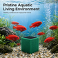 🐠 50% RABATU TERAZ! ✨ Filtr z węglem aktywnym do akwarium – krystalicznie czysta woda, bezzapachowe oczyszczanie i wielowarstwowa ochrona – idealny dla wrażliwych ryb i roślin 💧