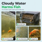 🐠 50% RABATU TERAZ! ✨ Filtr z węglem aktywnym do akwarium – krystalicznie czysta woda, bezzapachowe oczyszczanie i wielowarstwowa ochrona – idealny dla wrażliwych ryb i roślin 💧